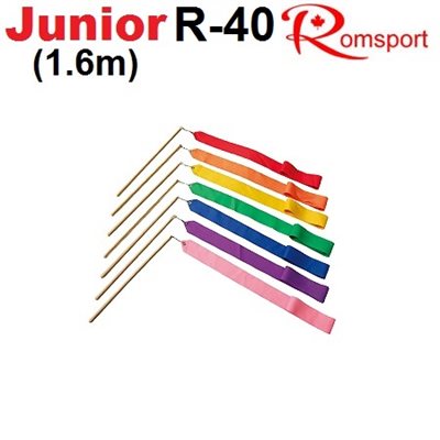 Romsport Ensemble Ruban Blanc (1.6m x 4cm) & Bâton (30 cm) Performance R-40