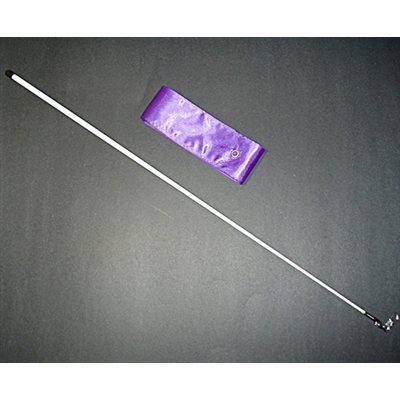 Romsports Purple Ribbon (6 m) & Stick (56 cm) Set R-42